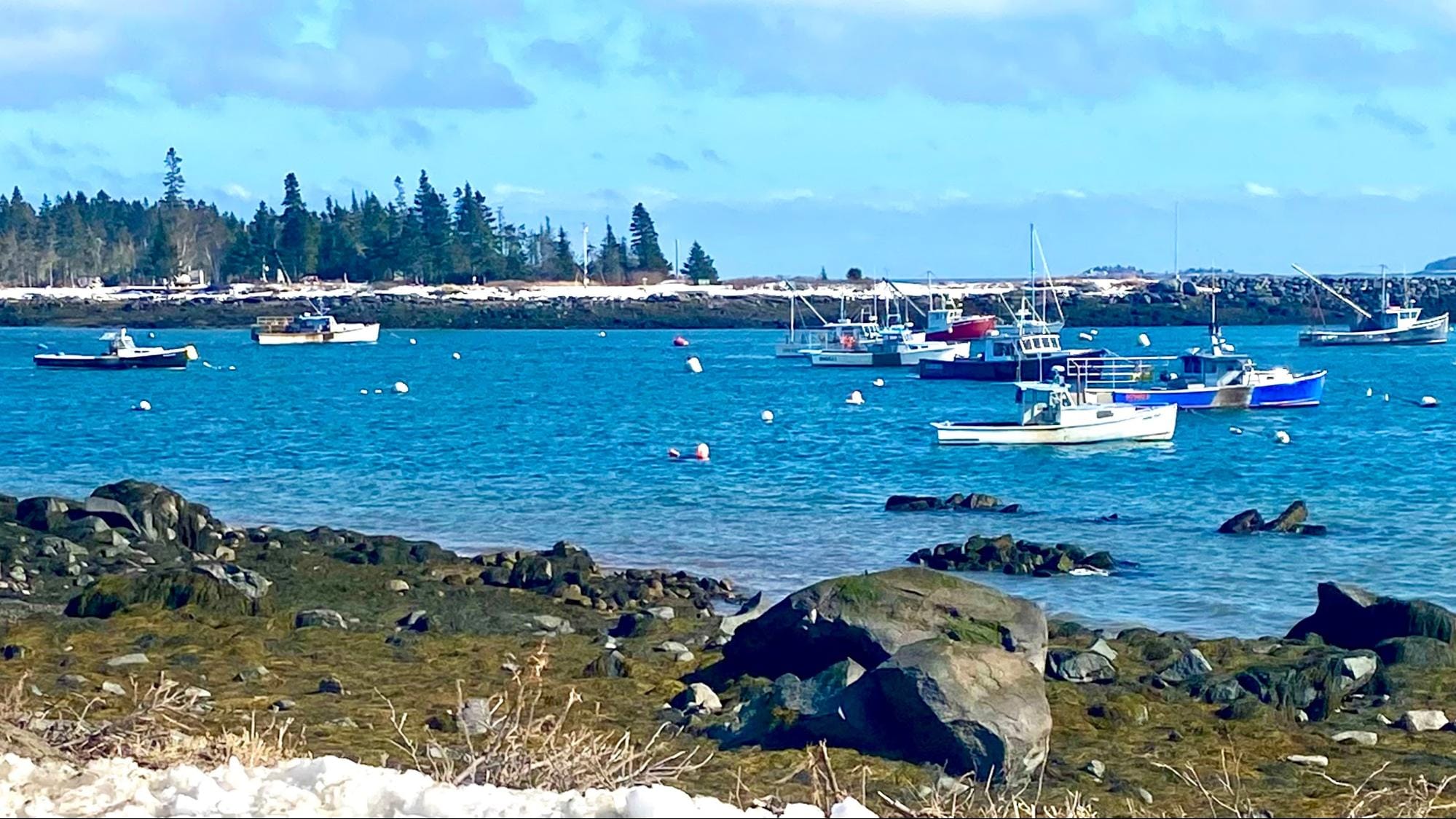 Jonesporters to Vote on Working Waterfront at Annual Meeting