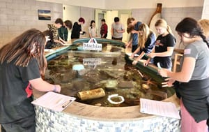 Fort O’Brien Students Take Great ‘Measures’ at Downeast Institute to Learn About Vital Scallop Fishery