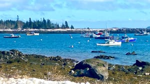 Jonesporters to Vote on Working Waterfront at Annual Meeting