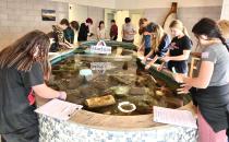 DEI Hires Research Scientist