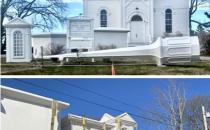 The Nature of Phenology: Ring-billed gulls