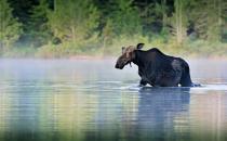 Healthy Acadia Advisory Council meets in Machias  April 11