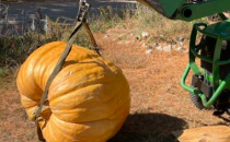 Machias Planning Board tables vote on Canal Street cottage campground project