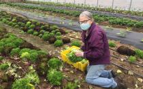 Lubec’s controversial brining shed draws attention of international press