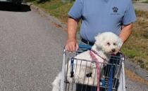 University of Maine at Machias student fundraising for Food Recovery Network